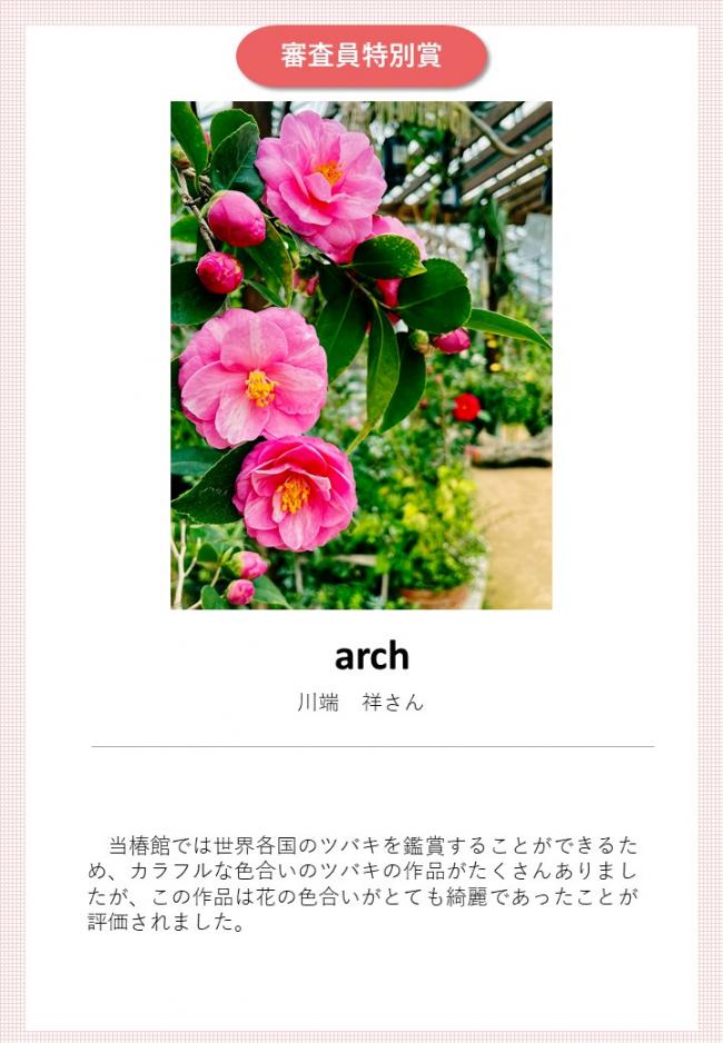 審査員特別賞作品「arch」