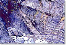 館ヶ崎角岩岩脈の写真