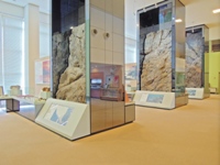 地質展示室の写真