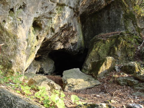 関谷洞穴住居跡の写真