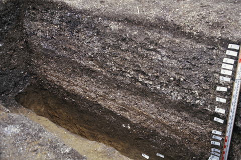 大洞貝塚の写真