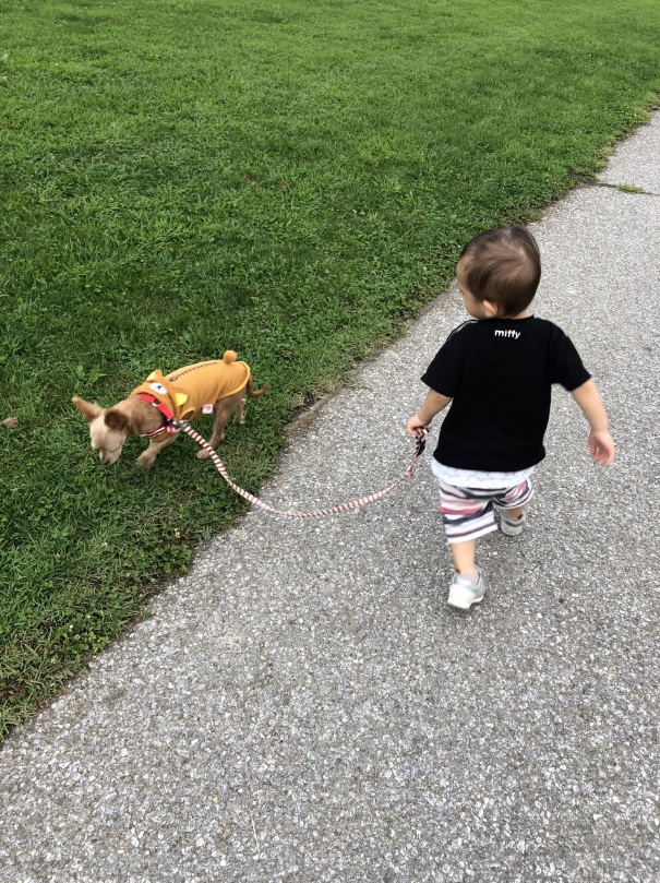 子供と犬散歩