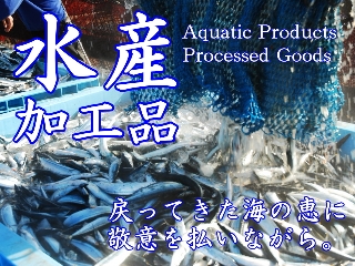水産加工品　Aquatic Products Processed Goods