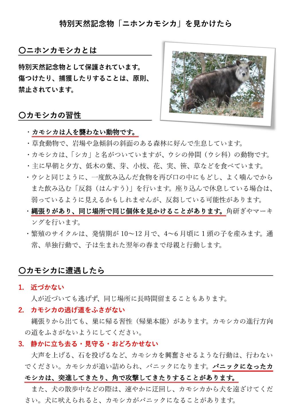 カモシカを見かけた時の対処法