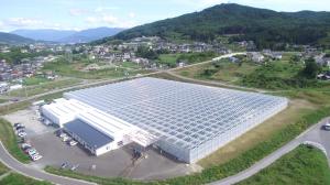 大規模トマト栽培施設