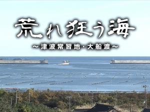 津波映像の画像