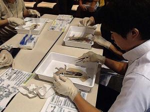 教員のための博物館の日、ワークショップの様子