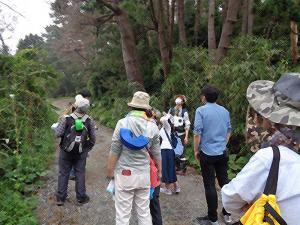 自然観察会の画像