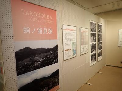 蛸ノ浦貝塚展示状況