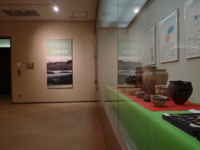 下船渡貝塚展示状況