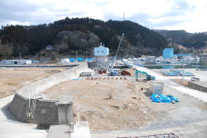 綾里地区の平成23年3月13日撮影の画像2