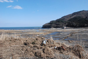 吉浜地区の平成23年3月12日撮影の画像