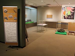 特別陳列「新収蔵品展Ⅱ 市民があつめた岩石と化石」の入口の様子
