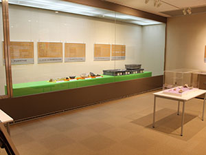 展示さた様々な岩石資料と化石資料の様子