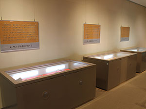 個別に展示されている岩石資料の様子