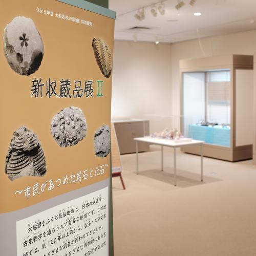 新収蔵品展2の様子