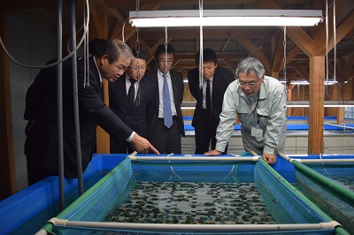水産技術センターを視察しましたの写真2