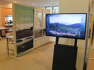 ディスプレイに映像が映し出される様子