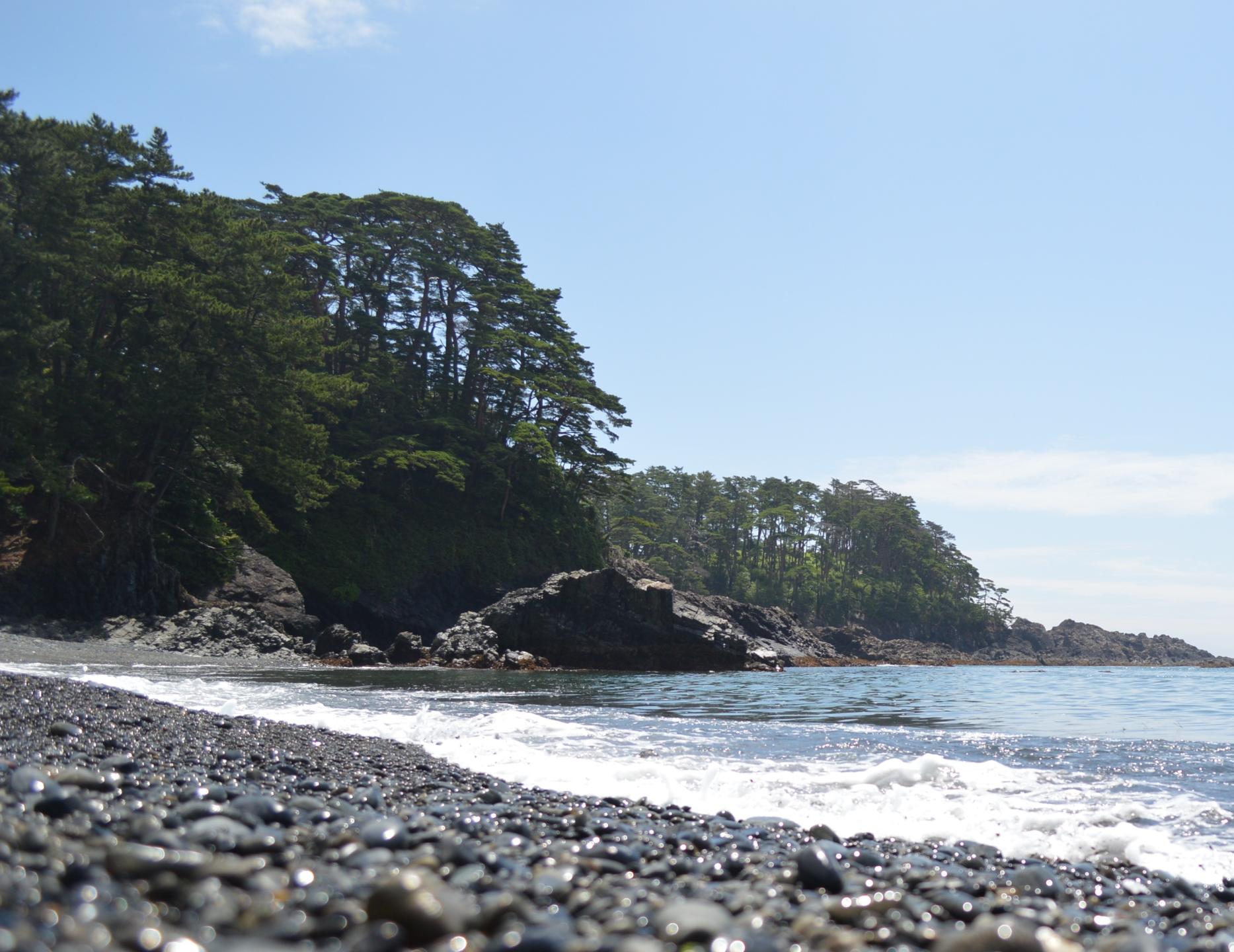 碁石浜の画像