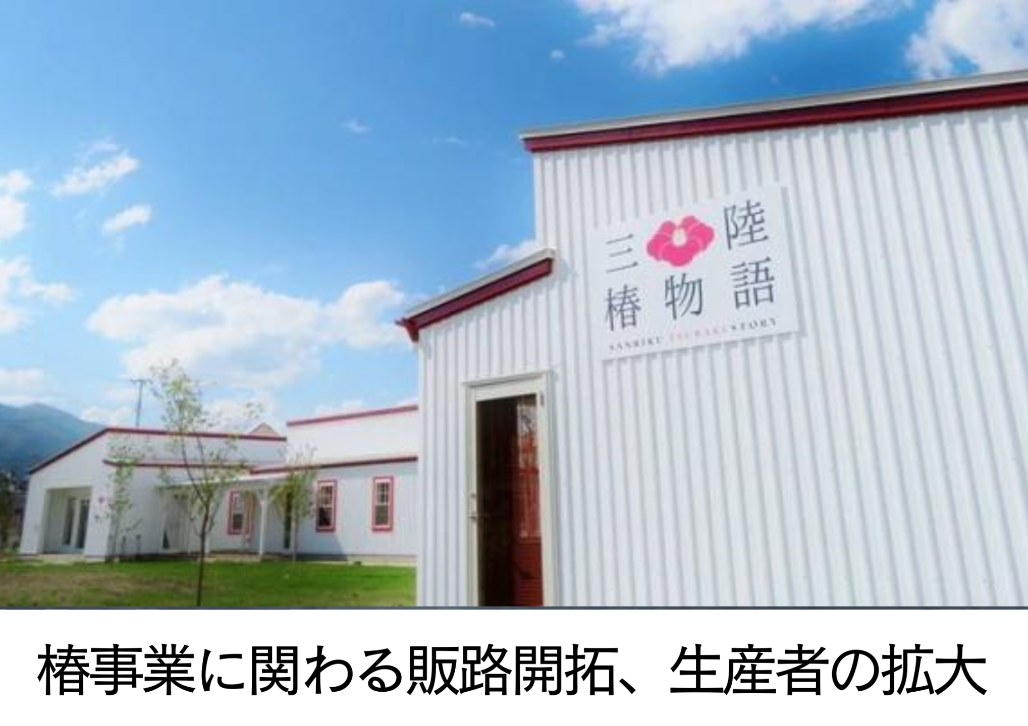 椿事業に関わる販路開拓、生産者の拡大