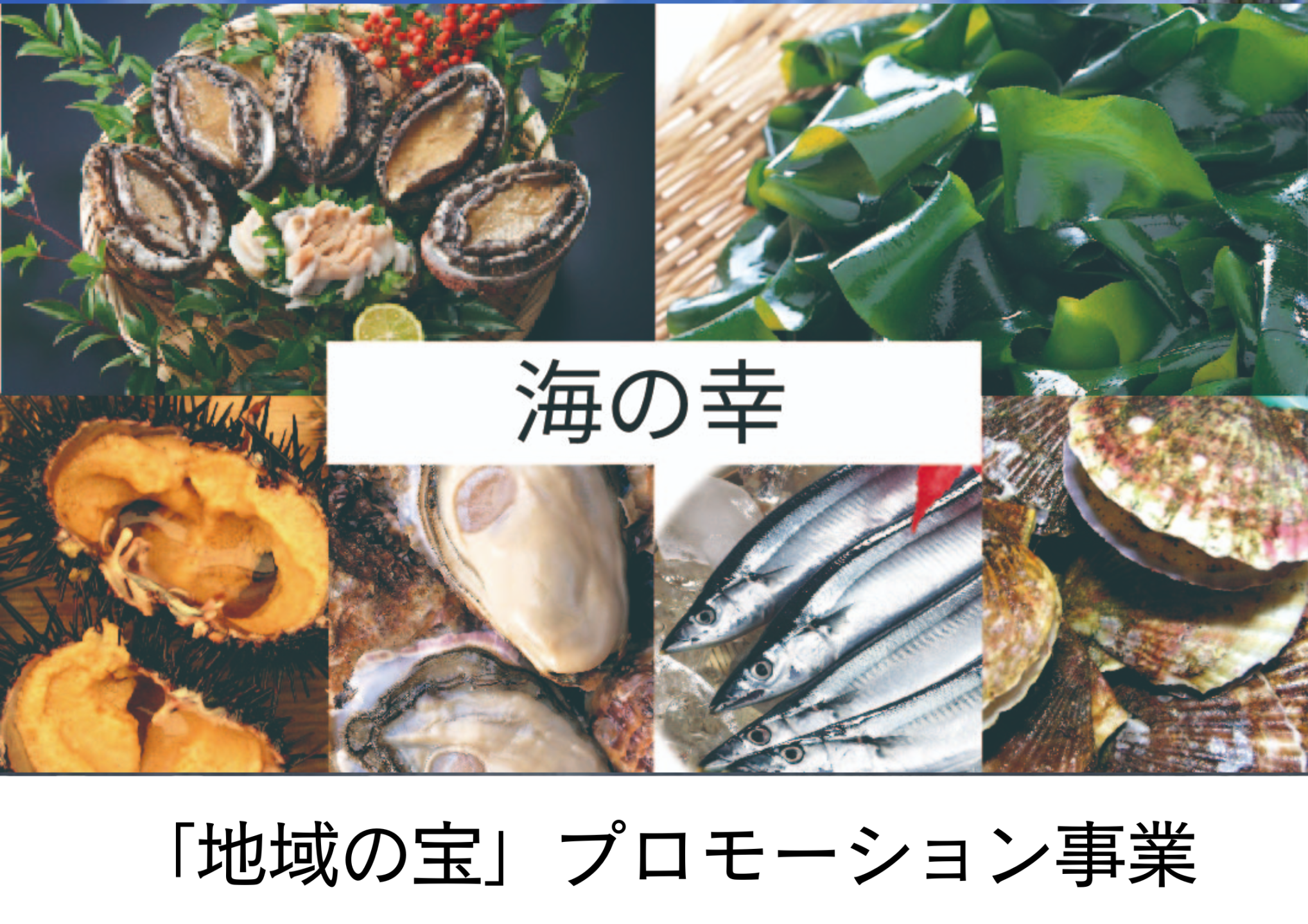 「地域の宝」プロモーション事業