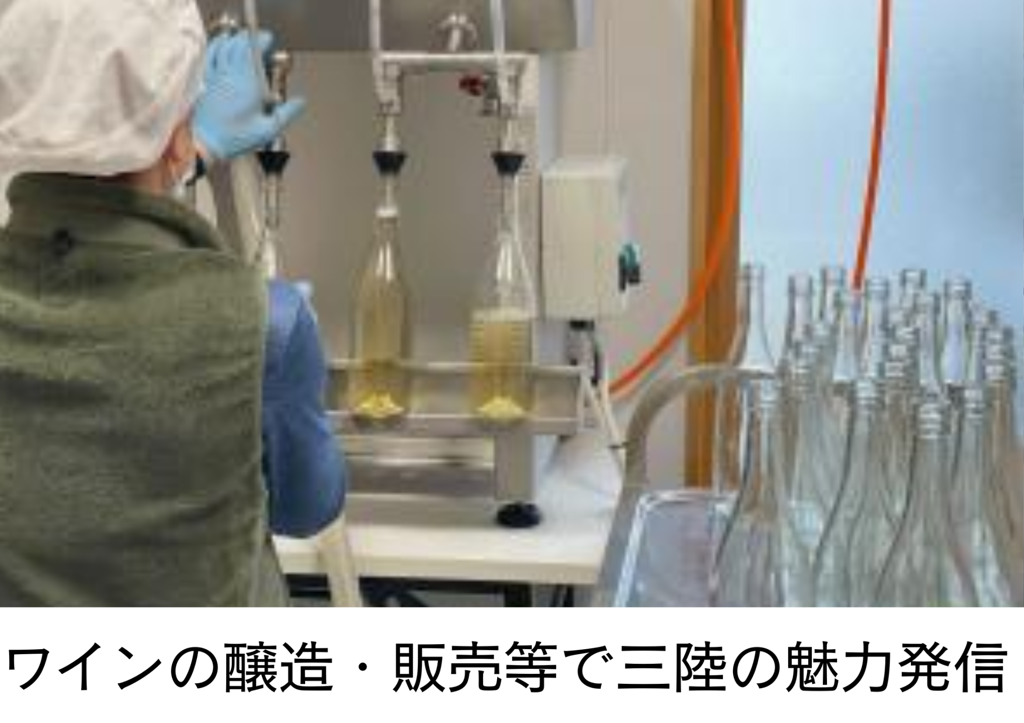 ぶどうやりんごの栽培からワインの醸造・販売とワインツーリズムなどのイベントで三陸の魅力を発信