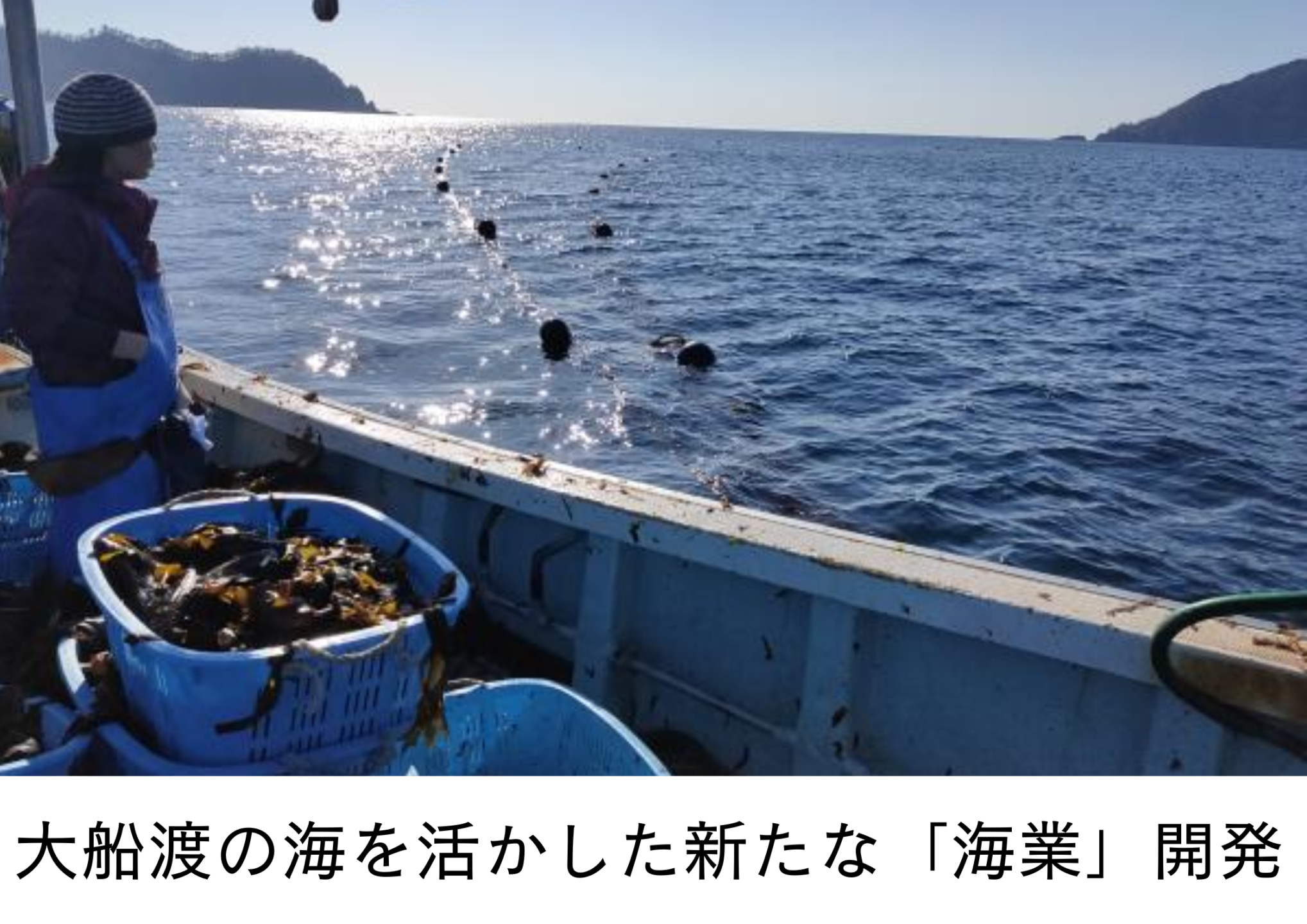 大船渡の海を活かした新たな「海業」の開発