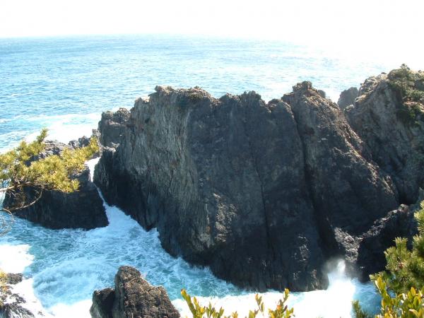 千代島